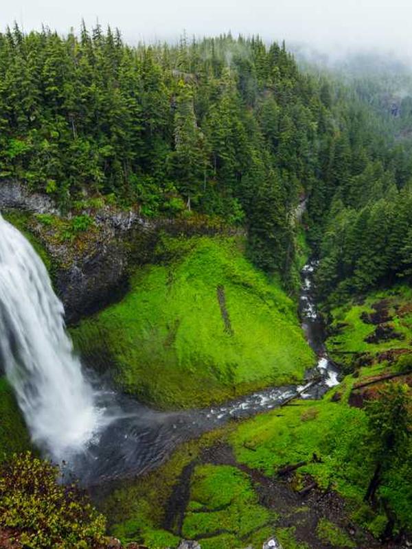 东方美学与西方抽象：当代艺术的融合